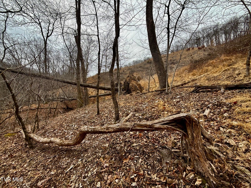 Photo #31: 7/Ac Pinnacle Point