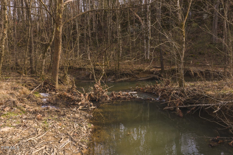 Photo #6: 0 Cherry Street