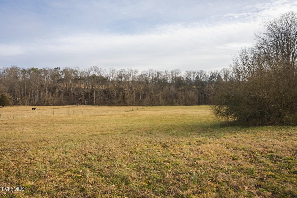 Photo #23: 0 Cherry Street