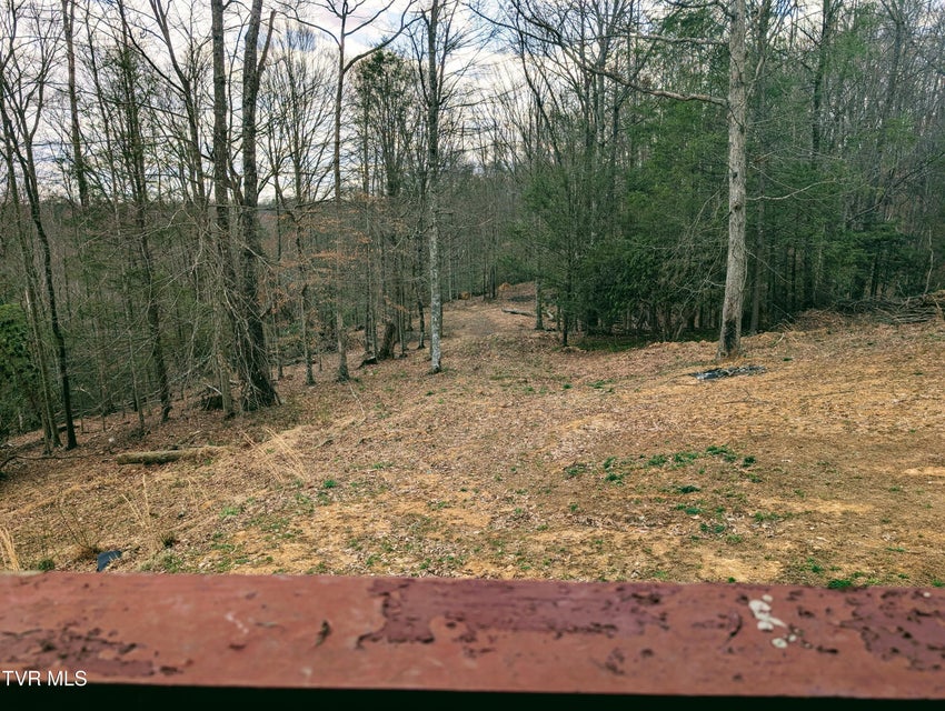 Photo #8: 290 Tivis Ridge