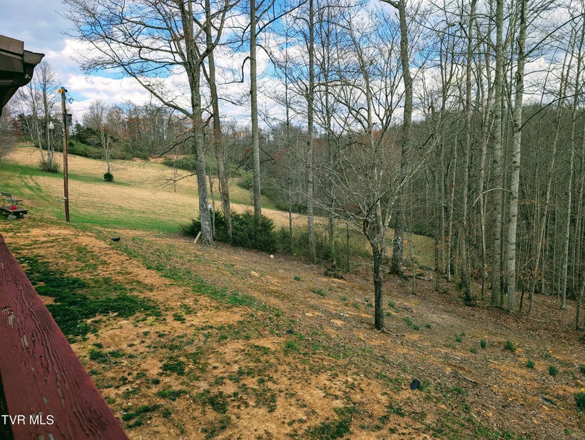 Photo #11: 290 Tivis Ridge