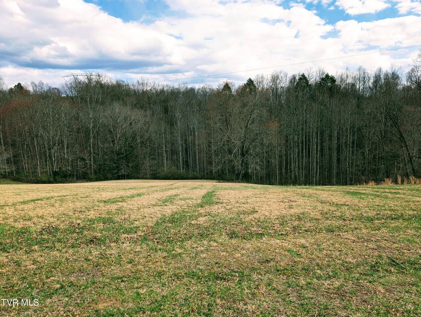 Photo #17: 290 Tivis Ridge