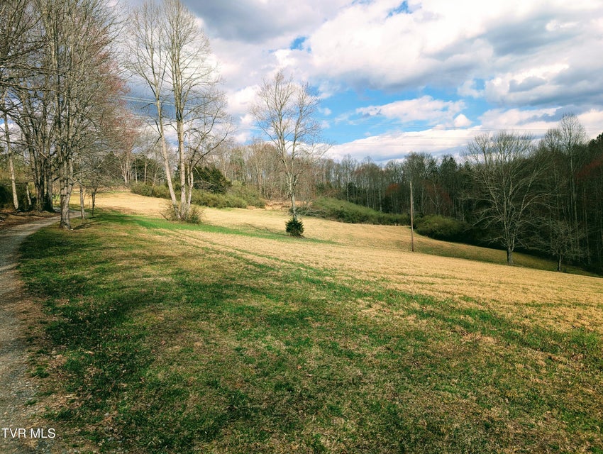 Photo #18: 290 Tivis Ridge