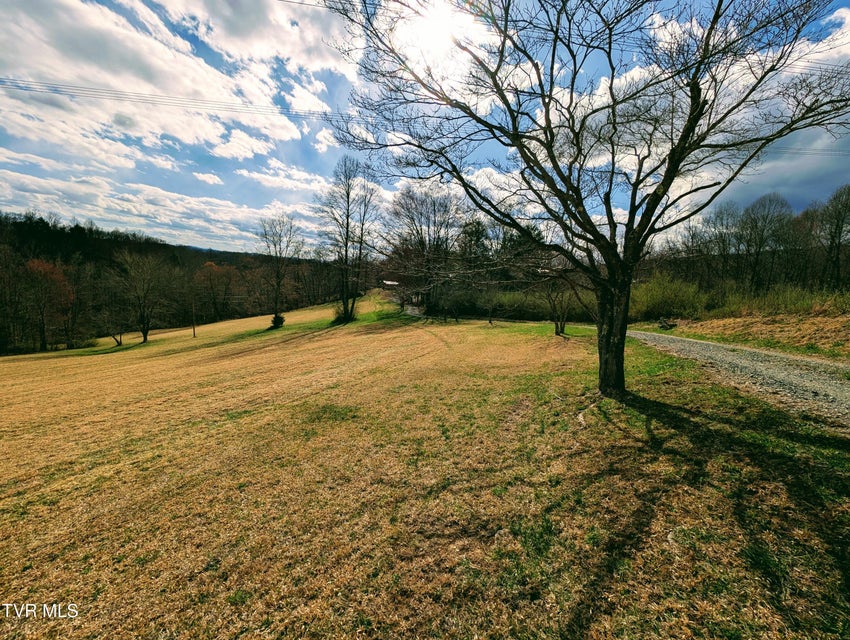 Photo #19: 290 Tivis Ridge