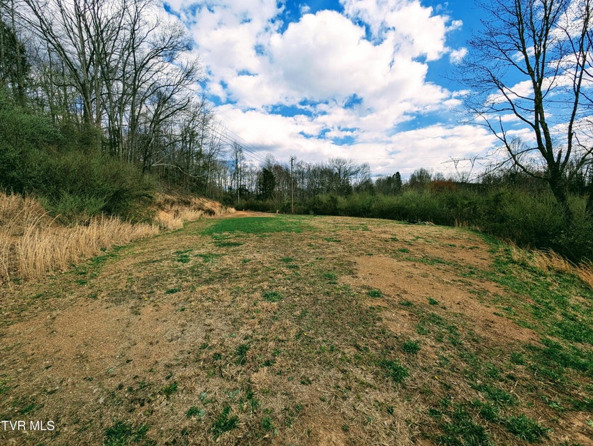 Photo #21: 290 Tivis Ridge