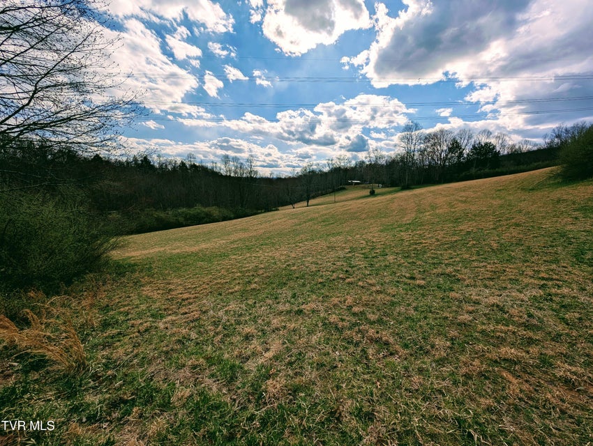 Photo #22: 290 Tivis Ridge