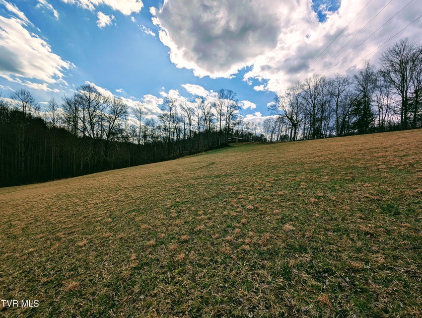 Photo #23: 290 Tivis Ridge