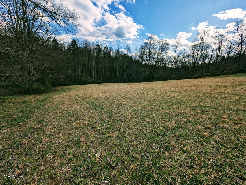 Photo #25: 290 Tivis Ridge