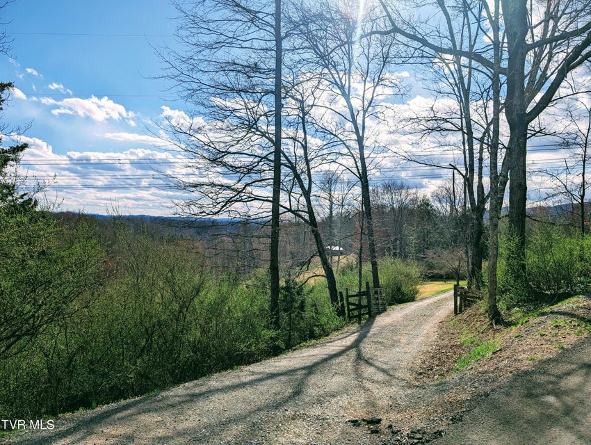 Photo #26: 290 Tivis Ridge