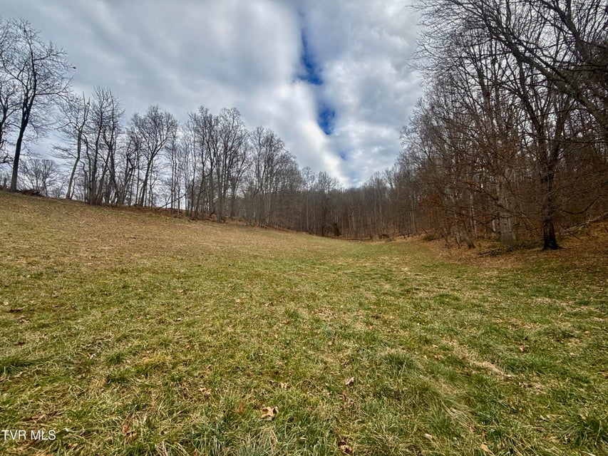 Photo #30: 219 Ridge Road