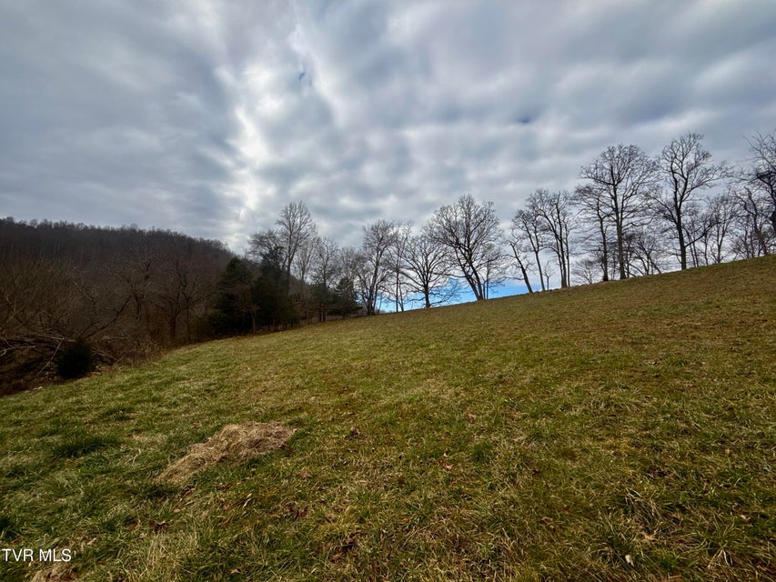 Photo #31: 219 Ridge Road