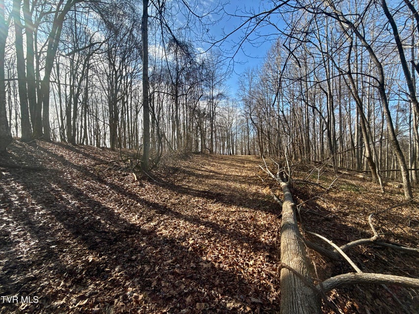 Photo #34: 219 Ridge Road