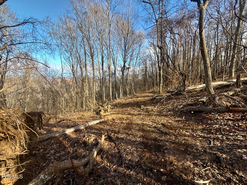 Photo #35: 219 Ridge Road