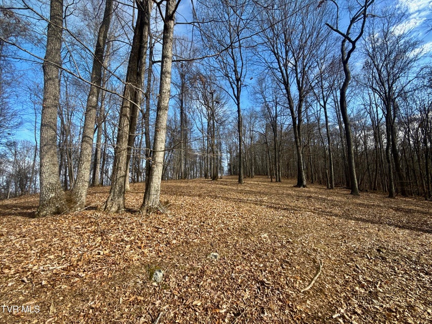 Photo #38: 219 Ridge Road