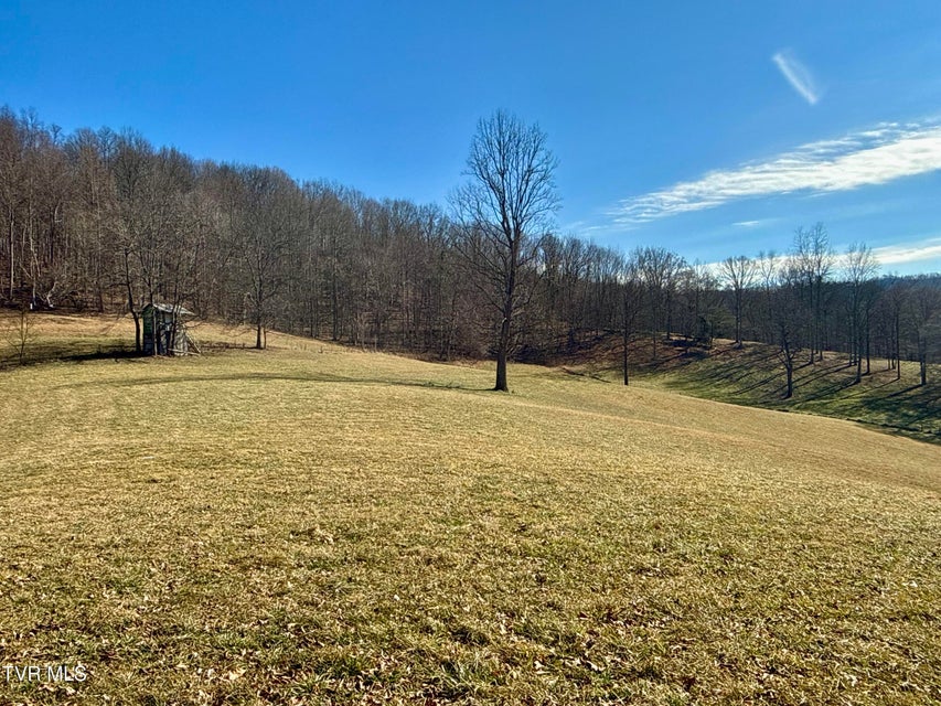 Photo #39: 219 Ridge Road