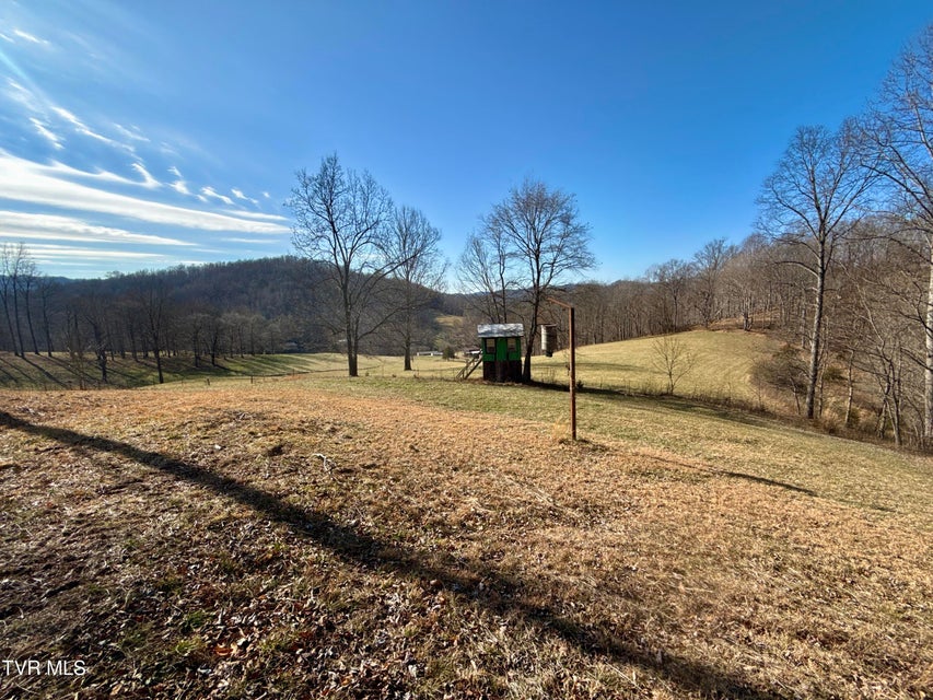 Photo #40: 219 Ridge Road