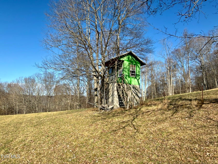 Photo #41: 219 Ridge Road