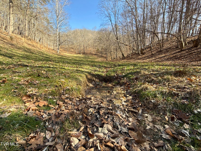 Photo #44: 219 Ridge Road