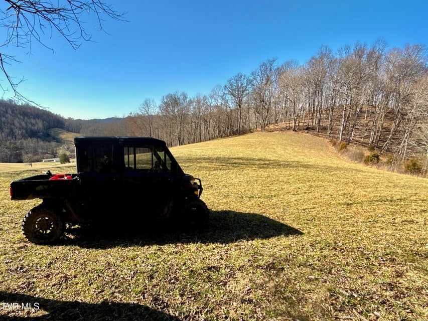 Photo #47: 219 Ridge Road