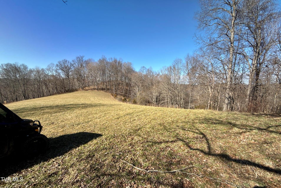 Photo #48: 219 Ridge Road