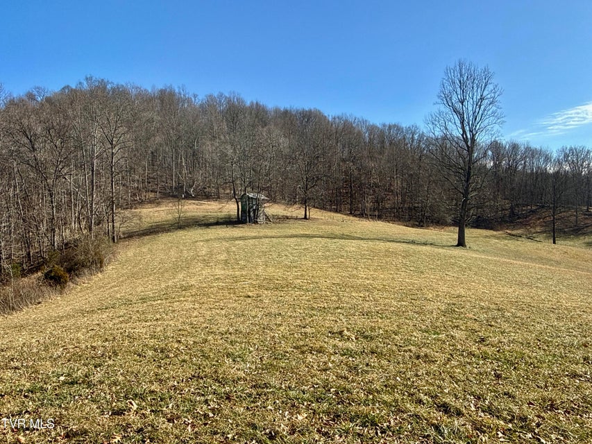 Photo #50: 219 Ridge Road