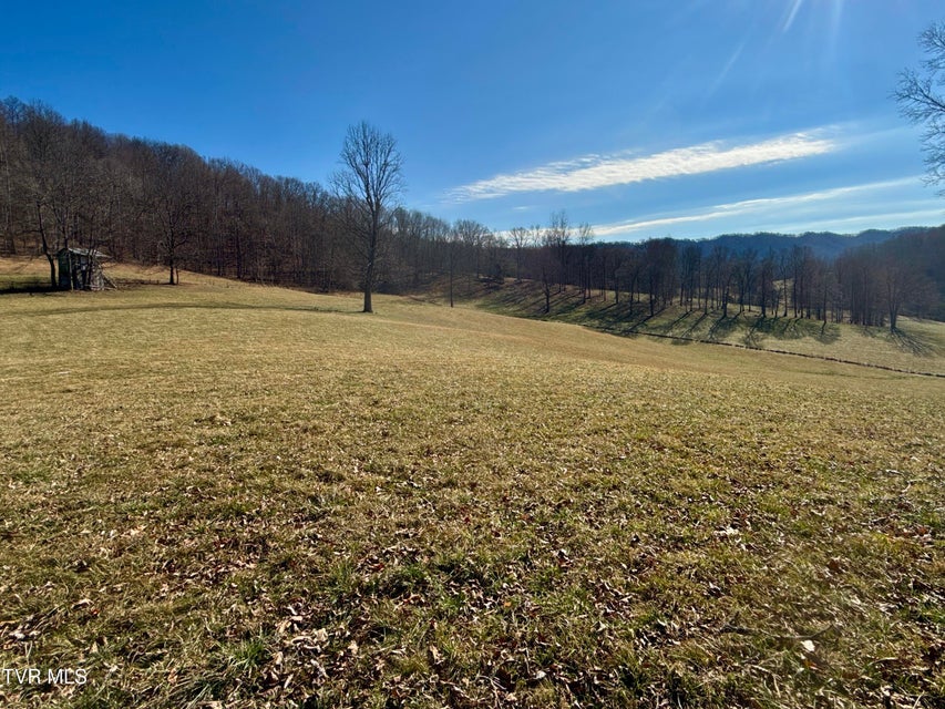 Photo #51: 219 Ridge Road