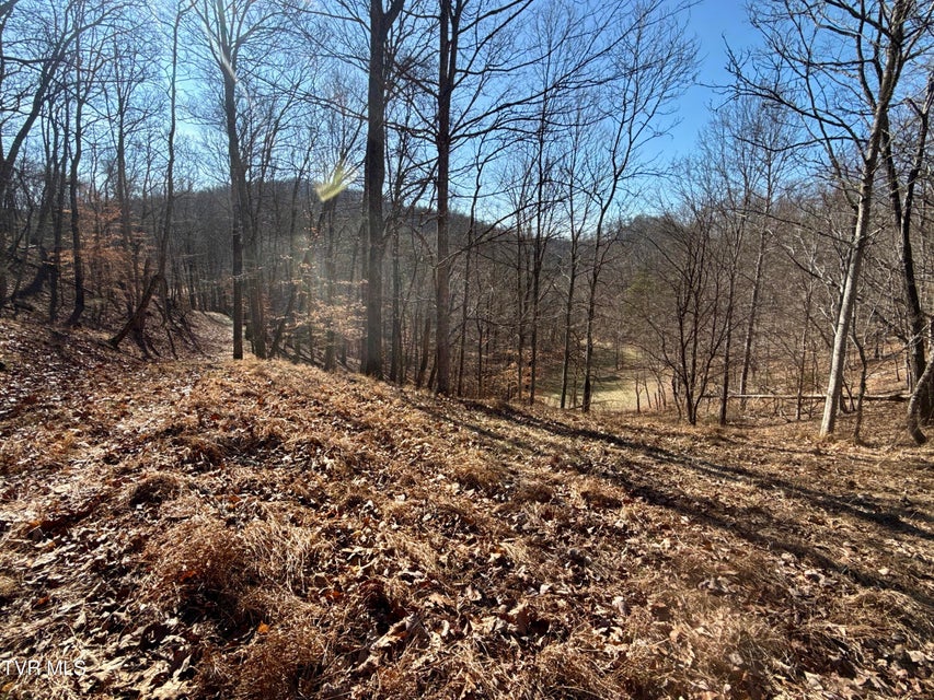 Photo #53: 219 Ridge Road