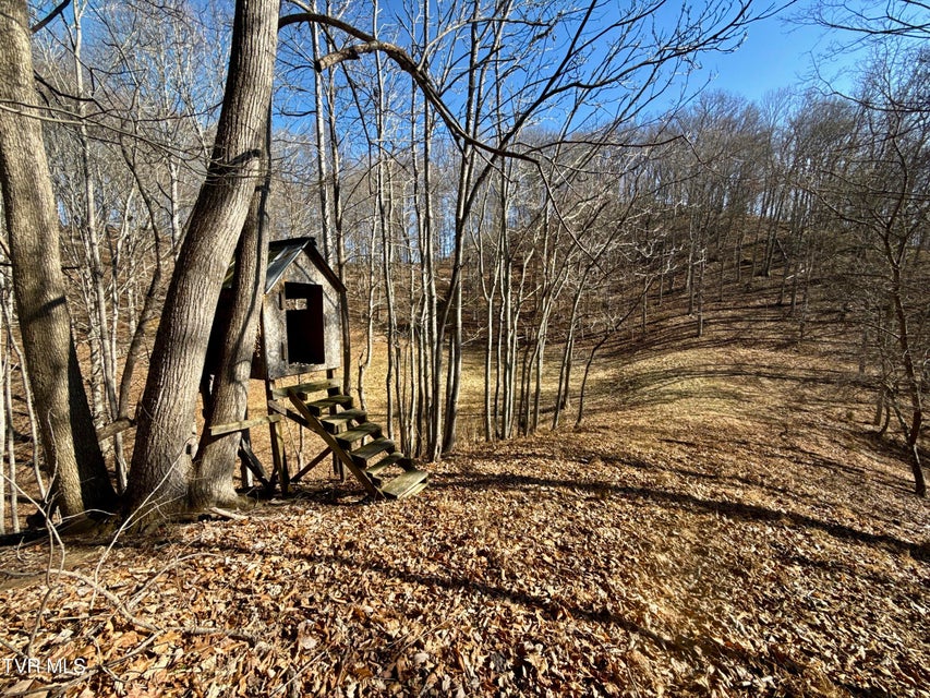 Photo #54: 219 Ridge Road