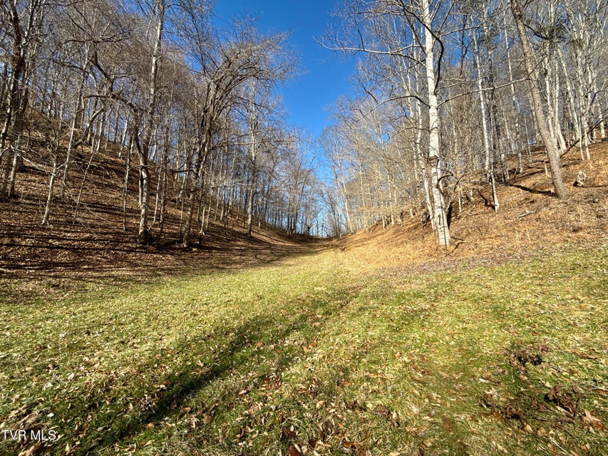 Photo #55: 219 Ridge Road