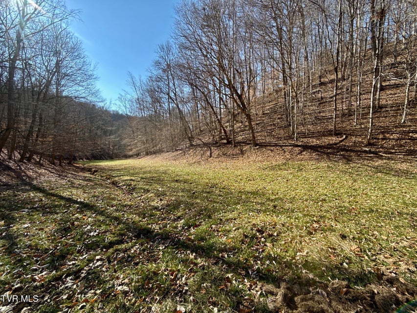 Photo #56: 219 Ridge Road