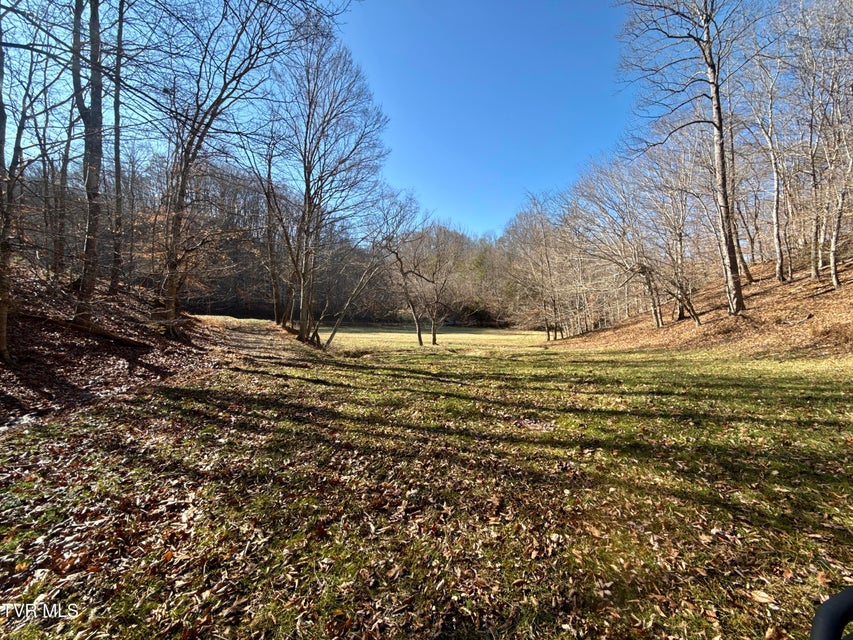 Photo #57: 219 Ridge Road