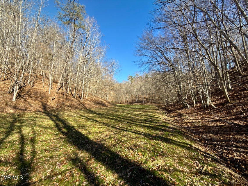 Photo #58: 219 Ridge Road