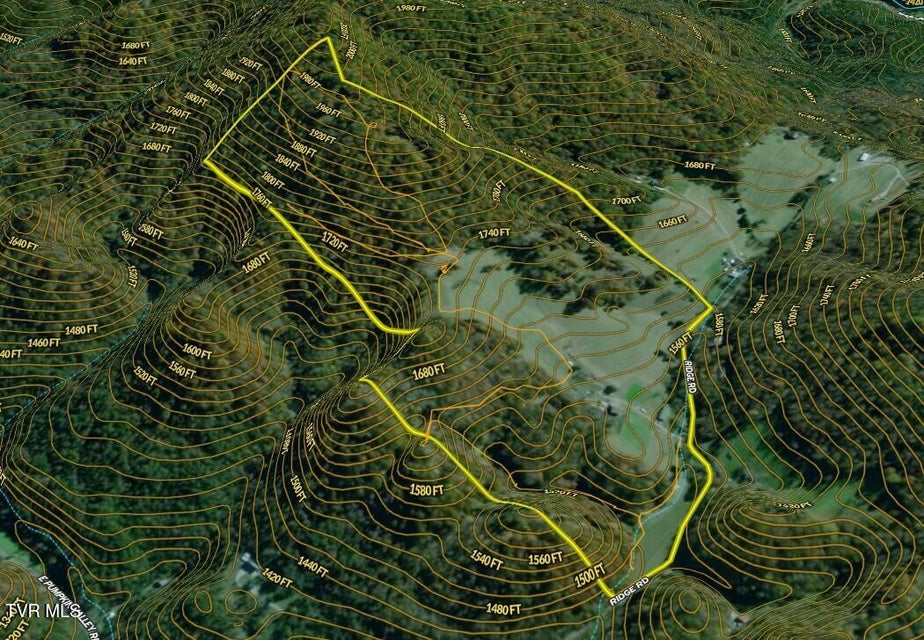 Photo #61: 219 Ridge Road