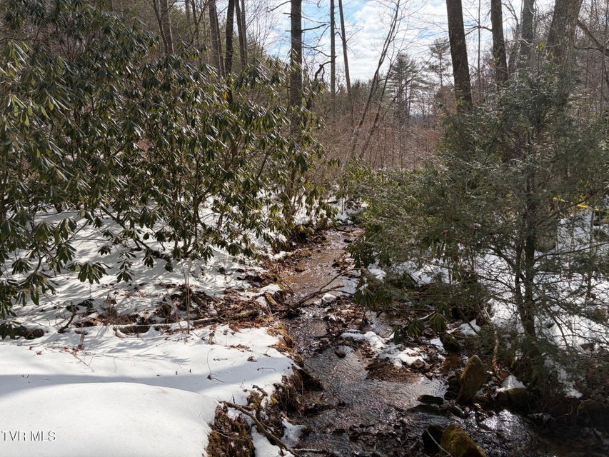 Photo #30: 469 Moreland Drive