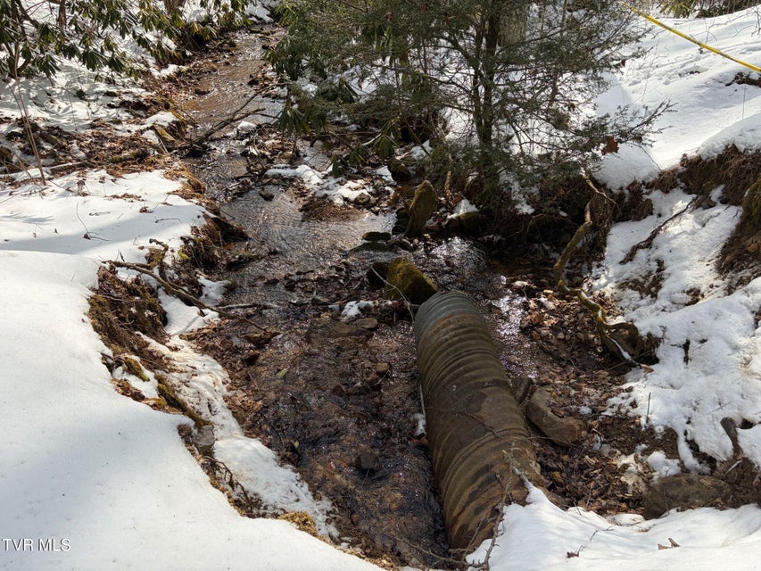 Photo #31: 469 Moreland Drive