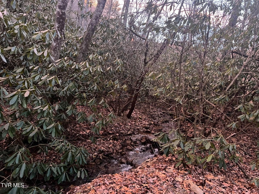 Photo #38: 469 Moreland Drive