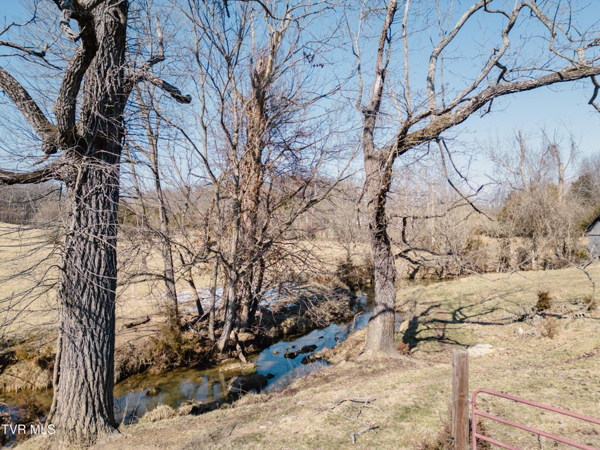 Photo #5: Tbd Highway 81 