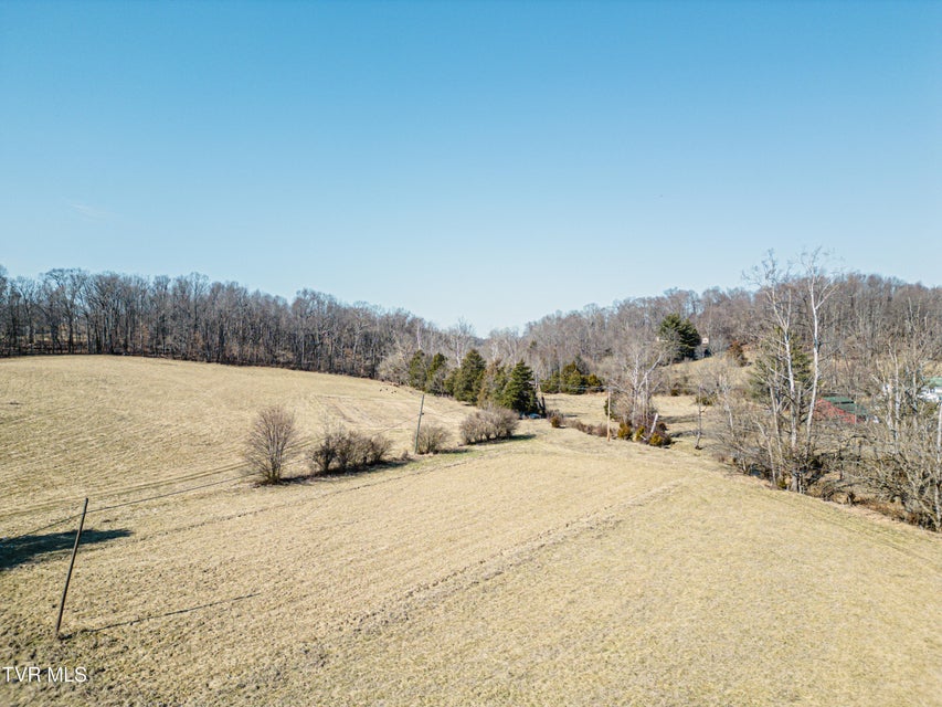 Photo #19: Tbd Highway 81 