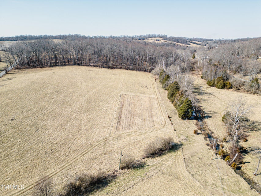 Photo #21: Tbd Highway 81 