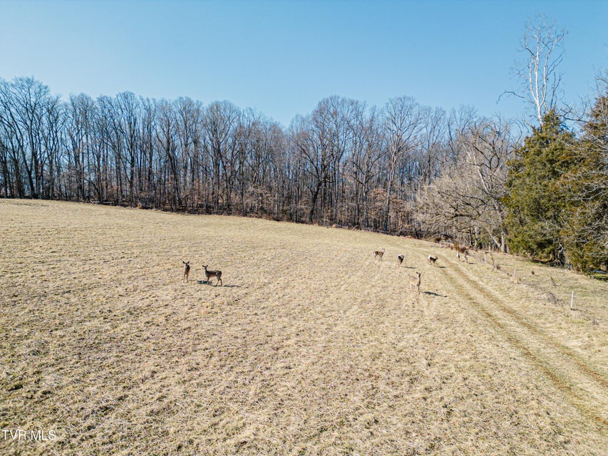 Photo #22: Tbd Highway 81 