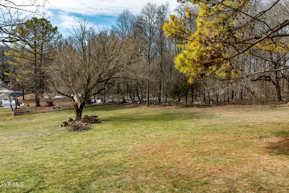 Photo #45: 125 Rosebud Lane