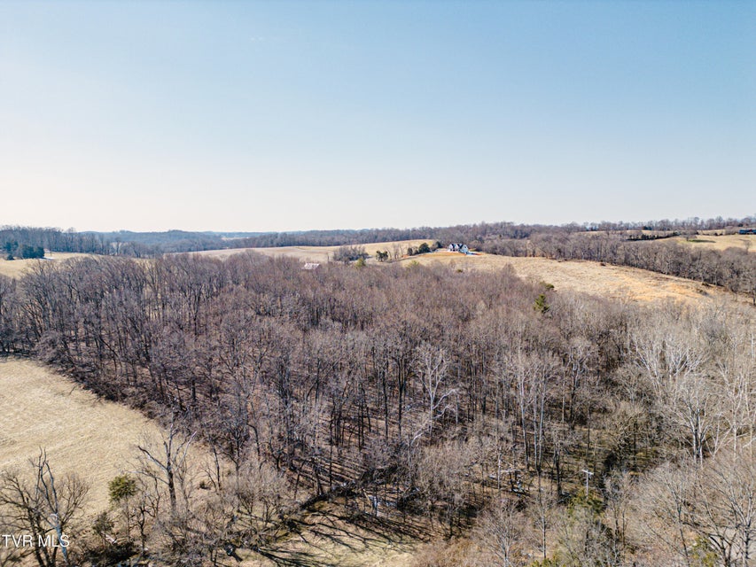 Photo #38: Tbd Highway 81 