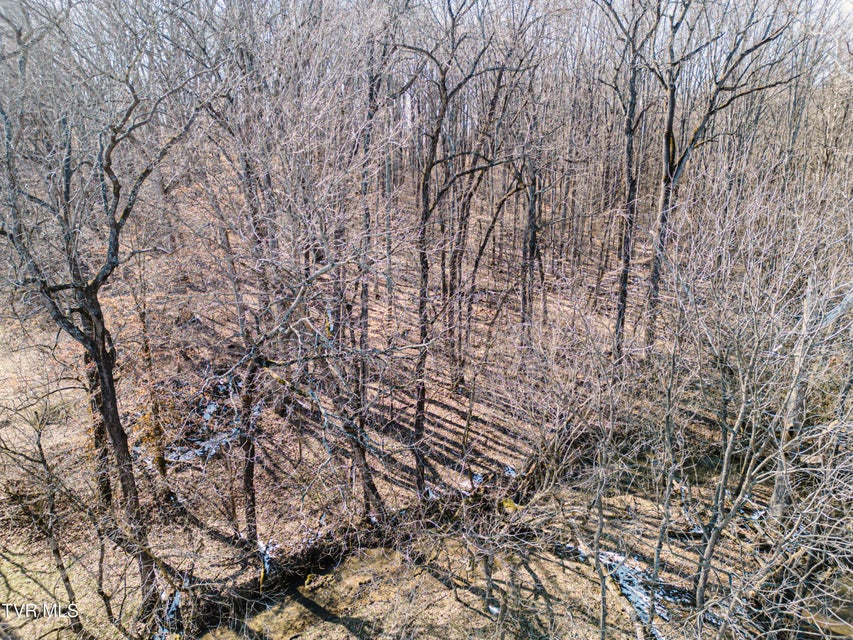 Photo #5: 000 Highway 81 