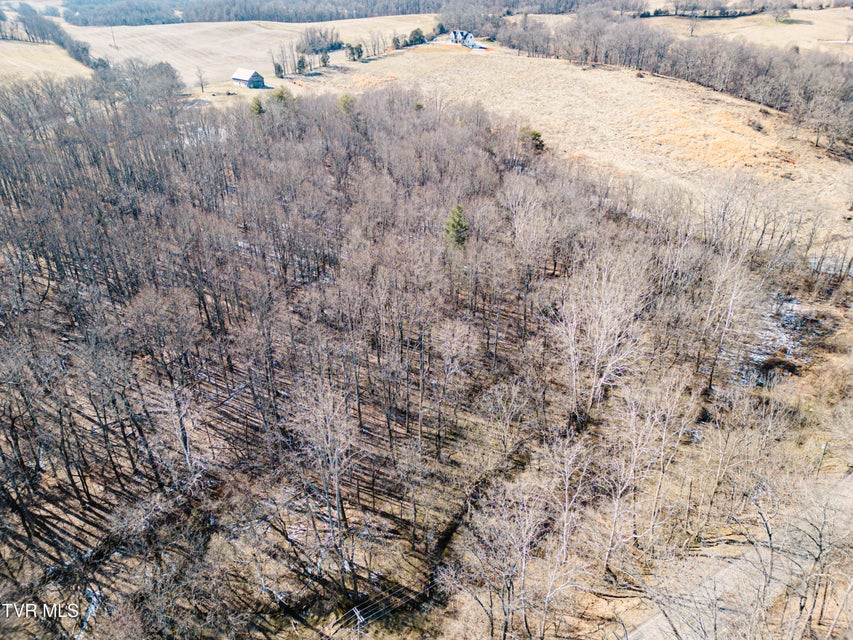 Photo #6: 000 Highway 81 