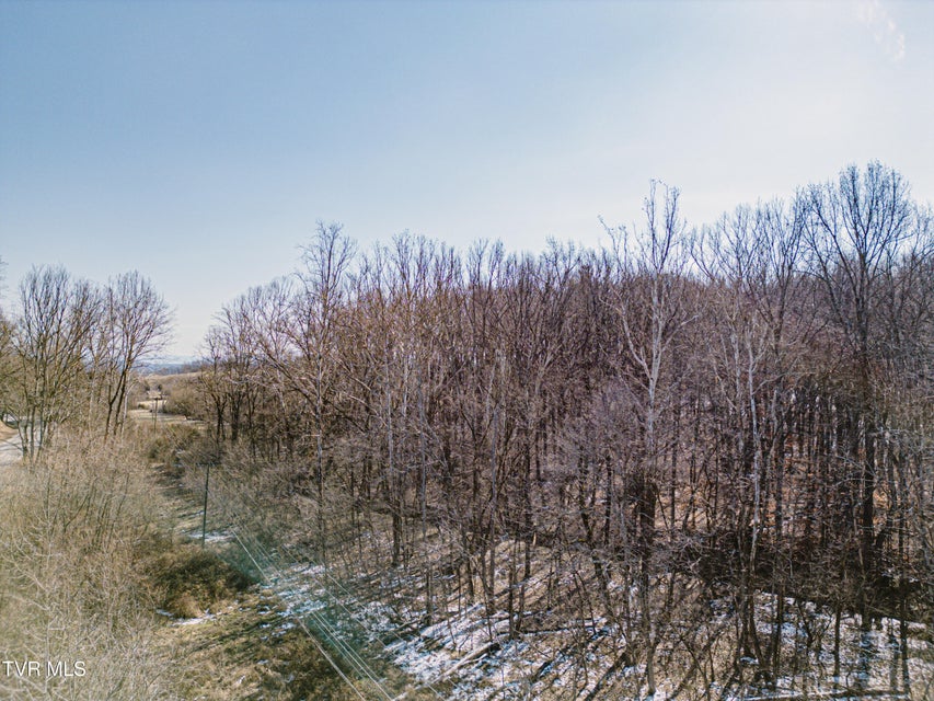 Photo #11: 000 Highway 81 