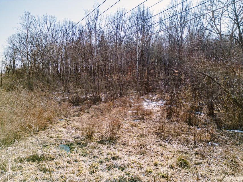 Photo #3: 000 Highway 81 