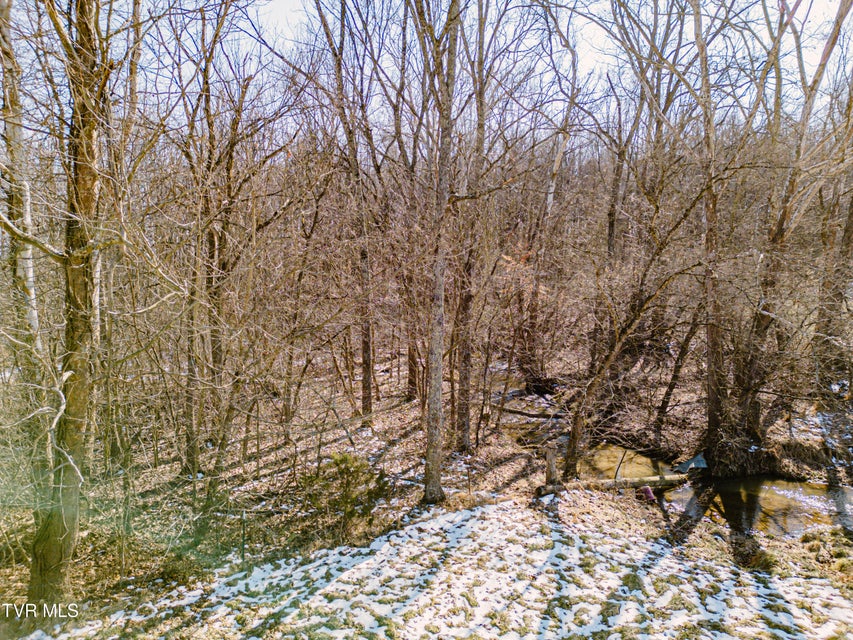 Photo #4: 000 Highway 81 