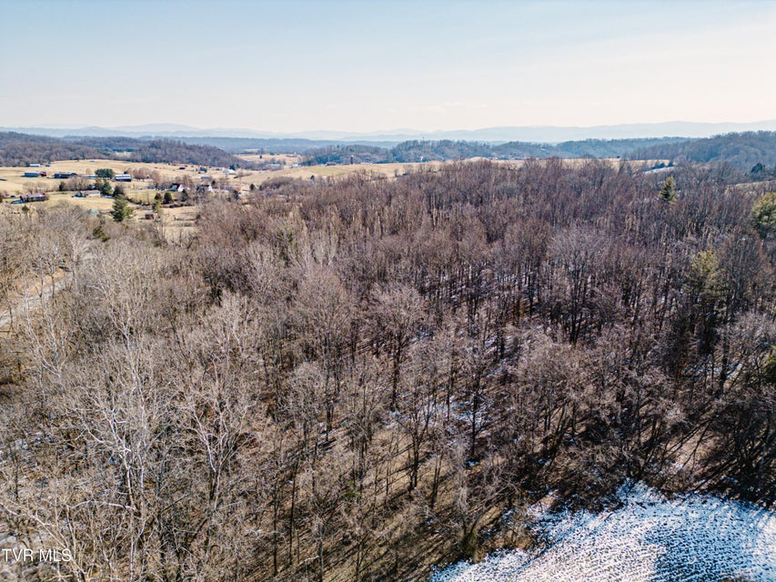 Photo #13: 000 Highway 81 