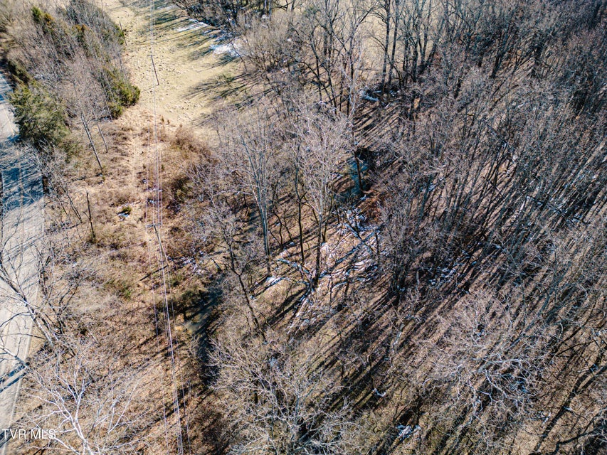 Photo #15: 000 Highway 81 