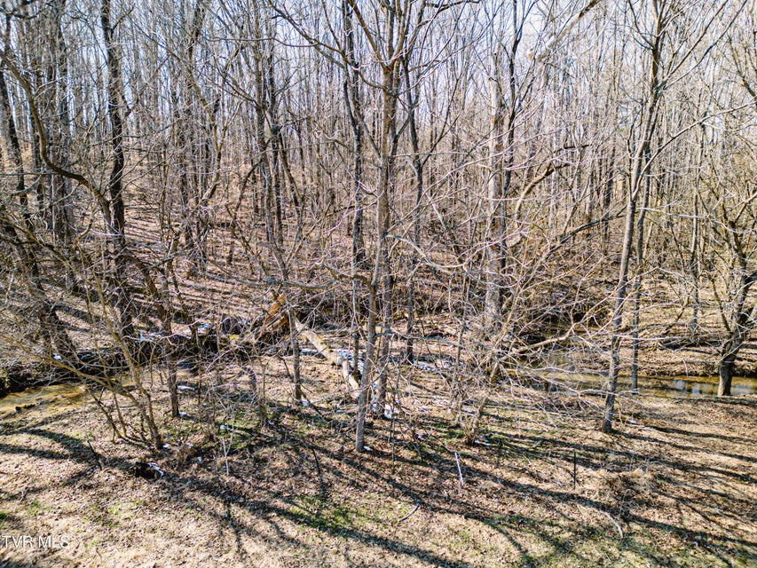 Photo #16: 000 Highway 81 